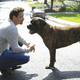 Image for article titled Suburgatory: “Apocalypse Meow”/“Stray Dogs”